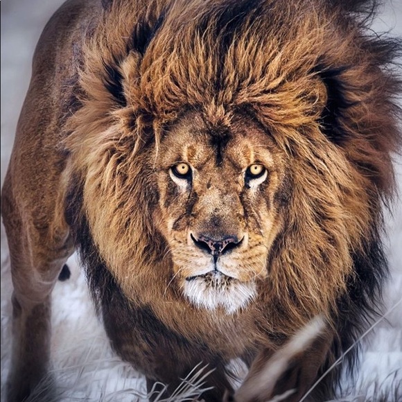 Meet your Posher, Abdul warith - Picture 1 of 1